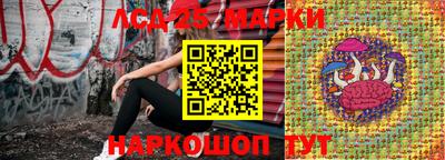Альфа ПВП Донецк